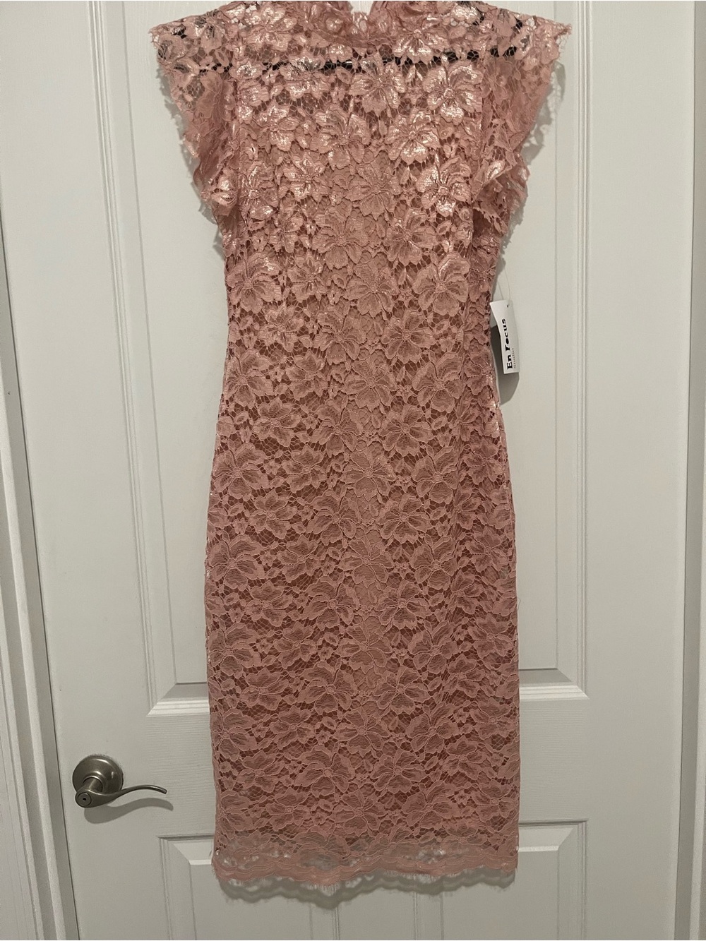 Enfocus Studio Lace Midi Dress in Blush Pink